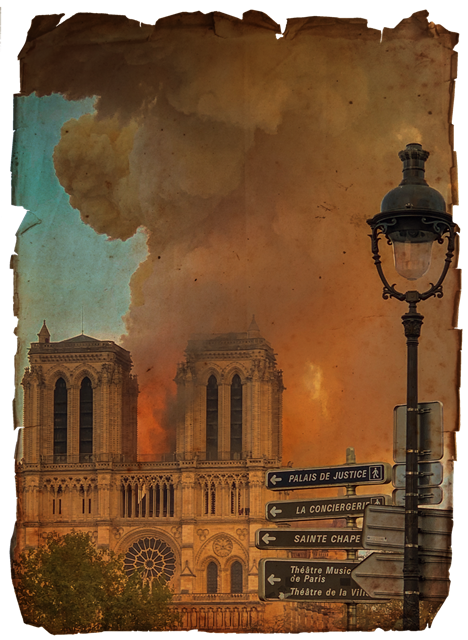 Notre Dame Burns, Media Bias, and Space News episode artwork